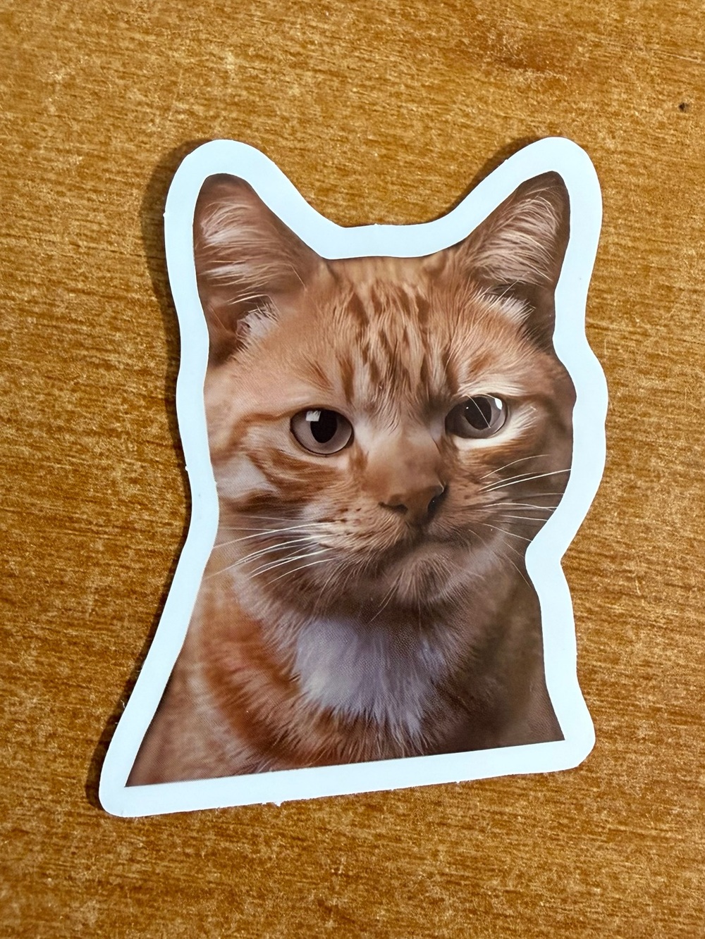 Cat Sticker - Orange Tabby Design
